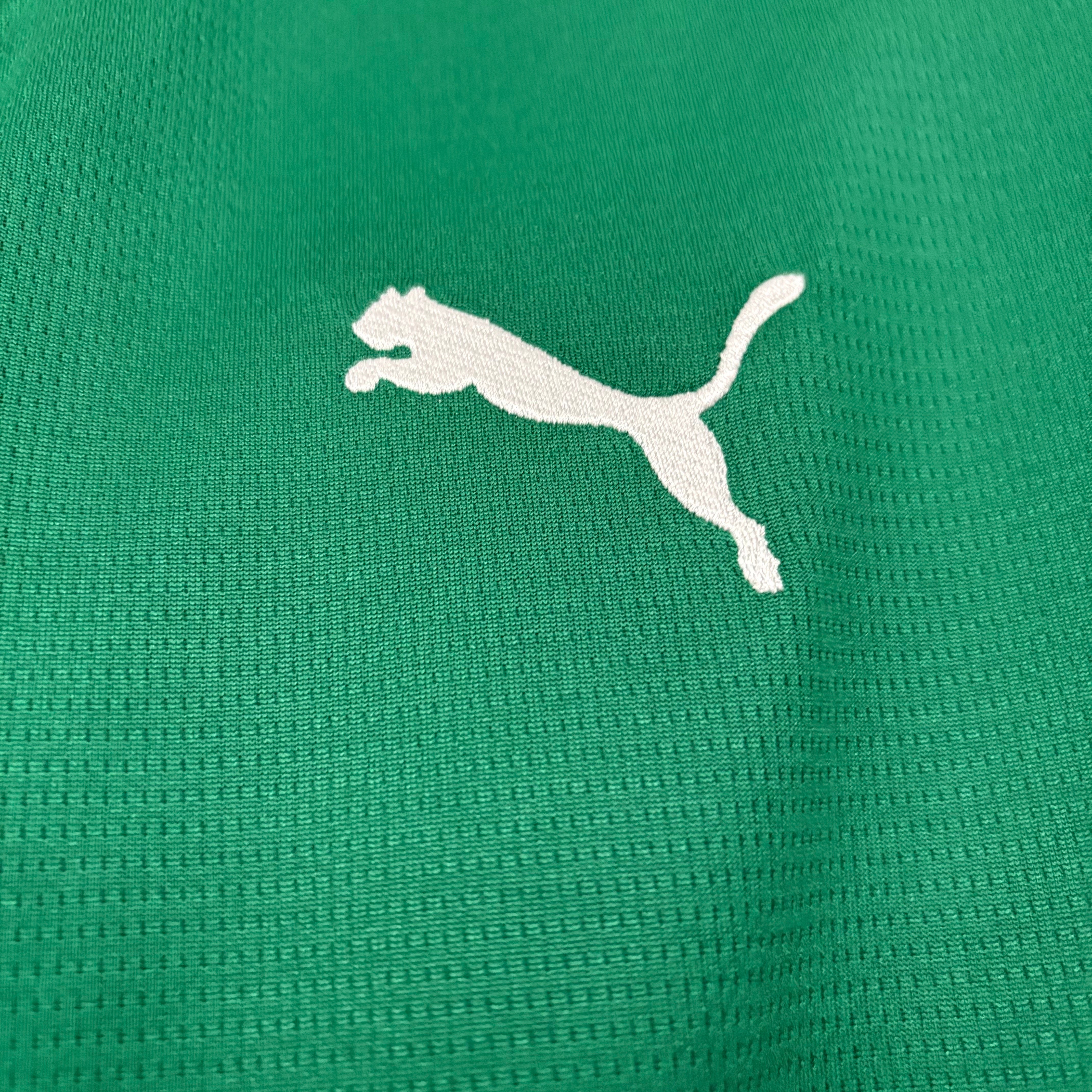 Camisa Palmeiras I - 26/27